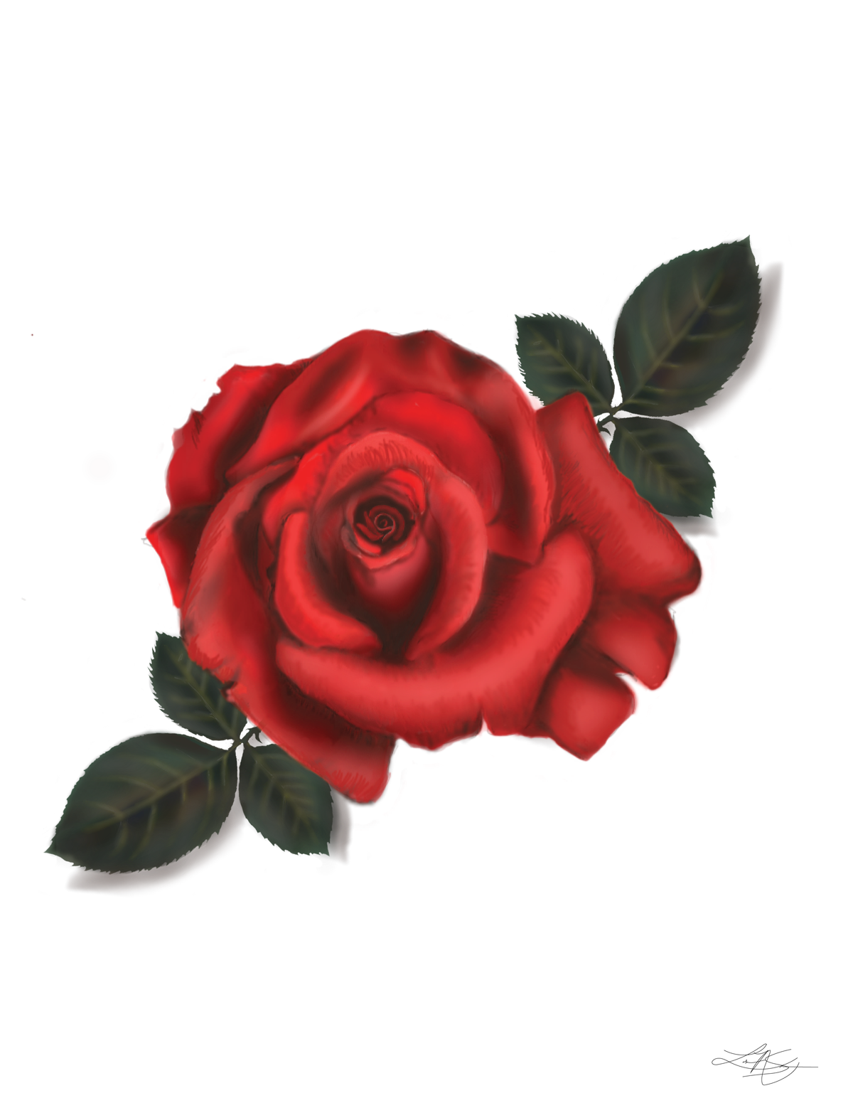 Red Rose