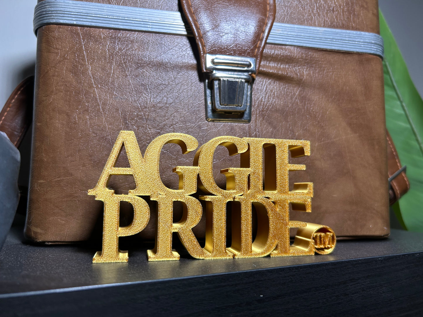 Aggie Pride 3D Printed Desk Accent