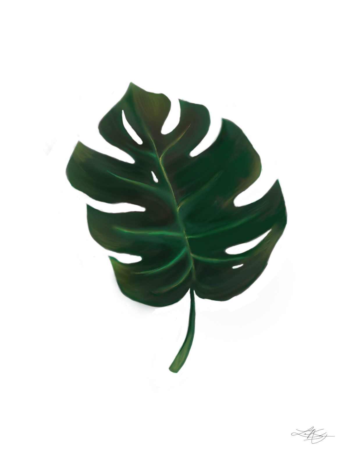 Monstera Leaf