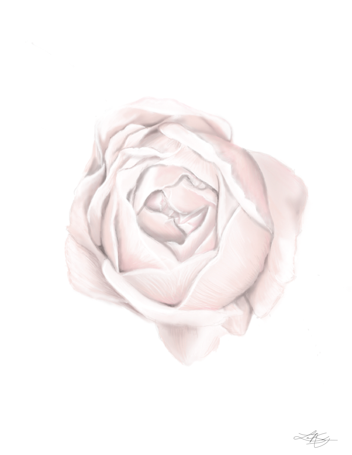Peony