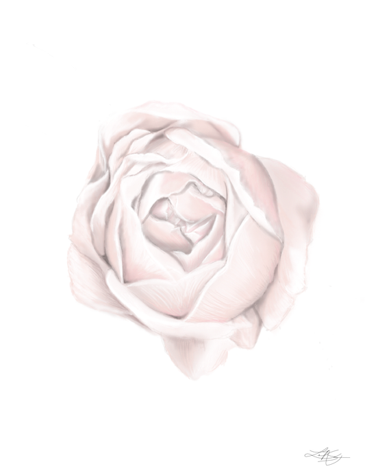 Peony