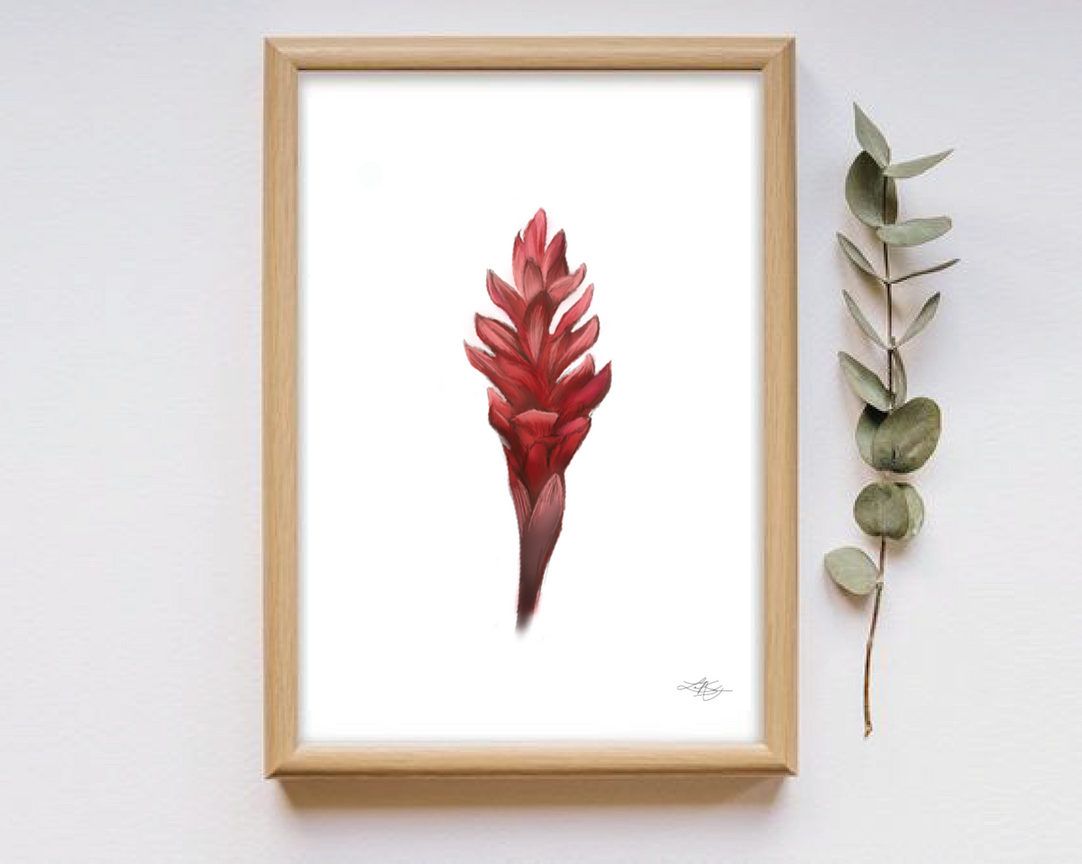 Red Ginger