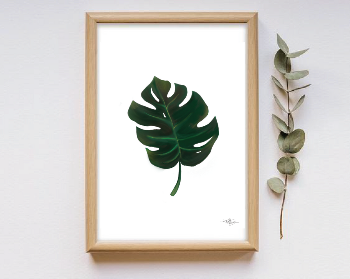 Monstera Leaf