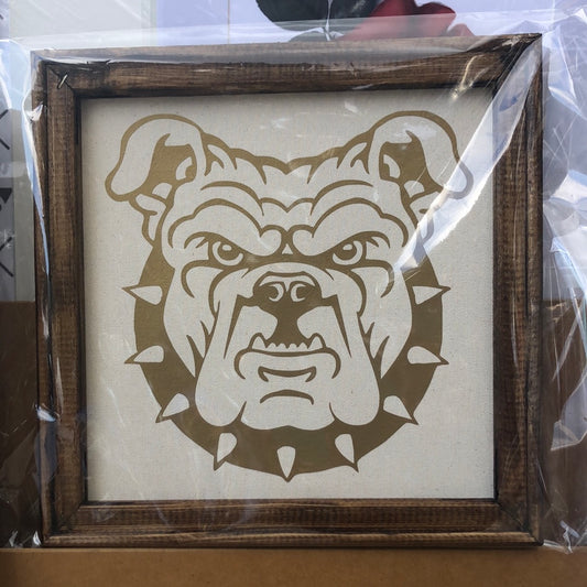 Aggie Bull dog